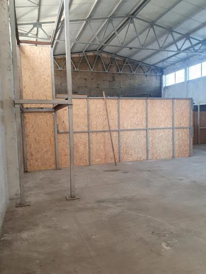 Inchiriez depozit - 5