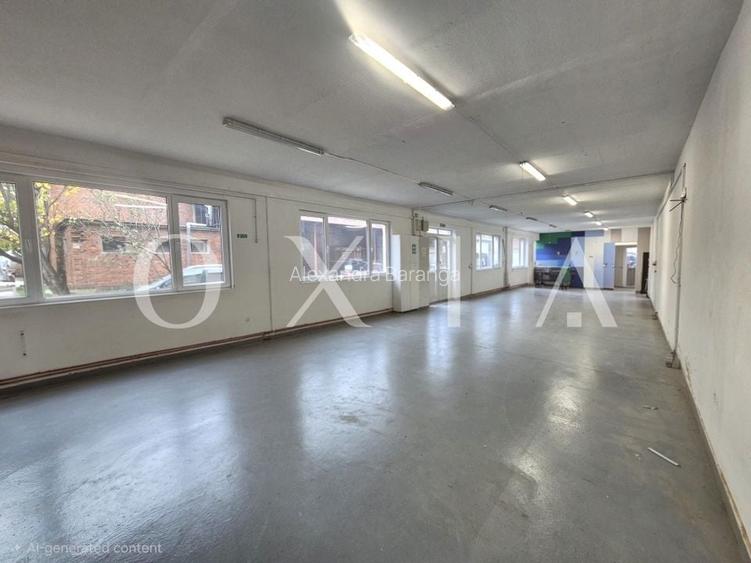 AX1157 Spatiu Industrial, B-dul 16 Decembrie, Activitati Productie