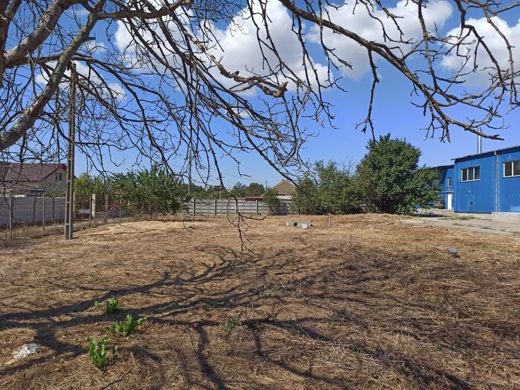 HALA ideala pentru PRODUCTIE ALIMENTARA, Poiana, Ovidiu – 827 mp, teren 4066 mp - 13