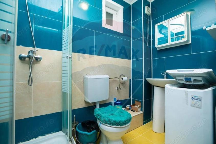 Apartament cu o camera de inchiriat in zona Parneava - 6