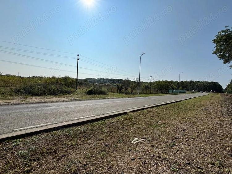 PROPRIETAR vind teren 4000 mp la PADUREA VERDE - Calea Timisoarei - langa POLIGON AJVPS - 3