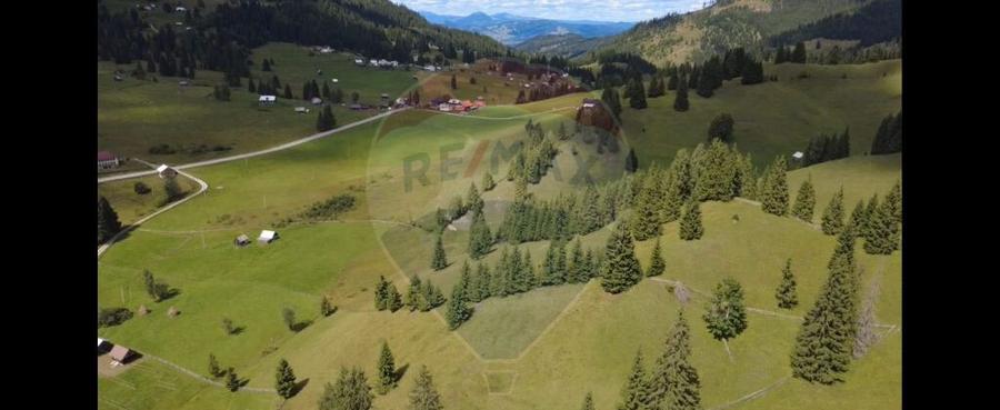 Teren de 14318m.p. in Paltinis, la 100m de strada Princi... - 2