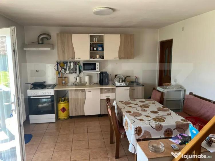 Casa 309 mp, teren 1083 mp, Ru?ii-Mun?i - 5