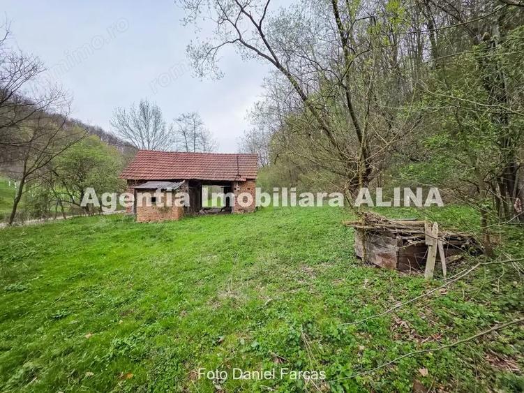 Teren intravilan 1.700 mp + 6.600 mp Padure de foioase + 1.200 mp Padure de foioase, Sat Nojag. - 8