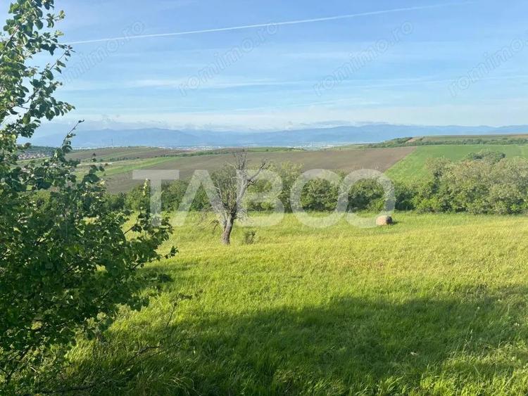 Teren de vanzare intravilan 8900mp Sura Mare zona deosebita - 4