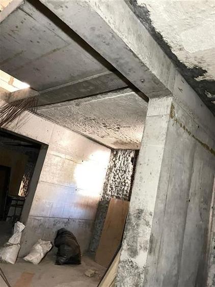 Vanzare cladire zona Gradina Icoanei - 8