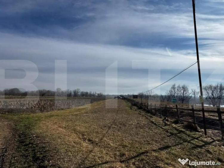 Teren extravilan 3100 mp cu ie?ire la raul Mure? - 2