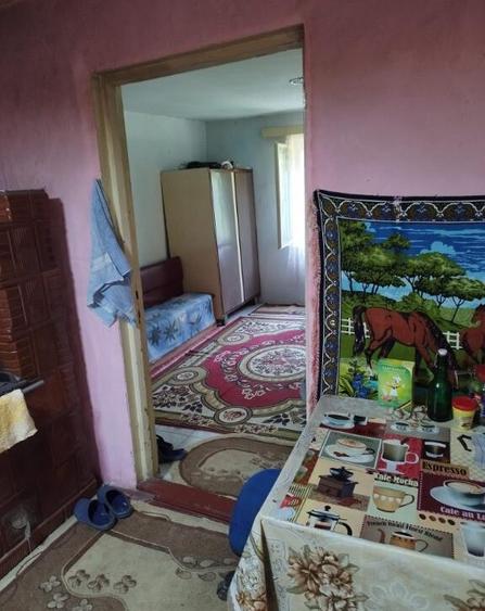 Dealul Florilor, casa 75 ari teren - 2