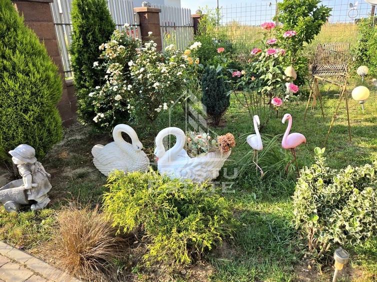 Casa individuala cu teren de 700 mp, Sag - 36