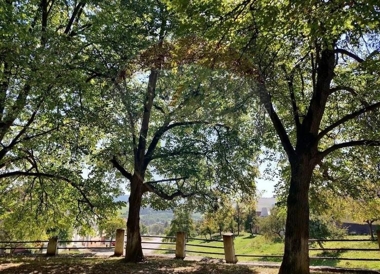 DE VANZARE Teren intr-un colț de Transilvanie autentică - 10