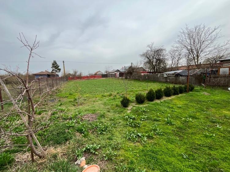 Casa (spațiu comercial) de vânzare Bălăceanu - 12