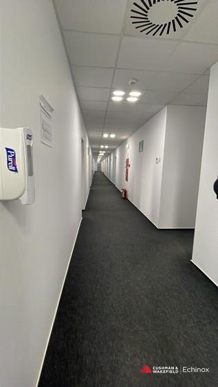 Hala 3026mp, teren 13653mp, Dumesti - 8