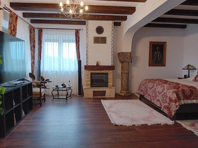 De vanzare vila exceptionala in stil Neo Romanesc cu vedere la lac si padure - 13