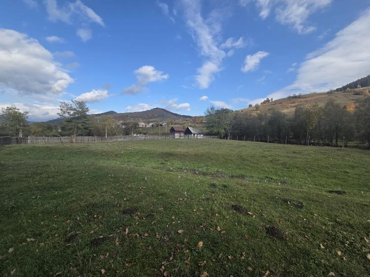 Pamant intravilan de vanzare - 6