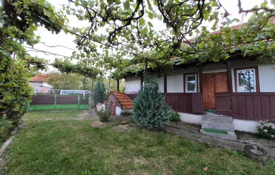 Vand casa la Dumbrava unirea Alba