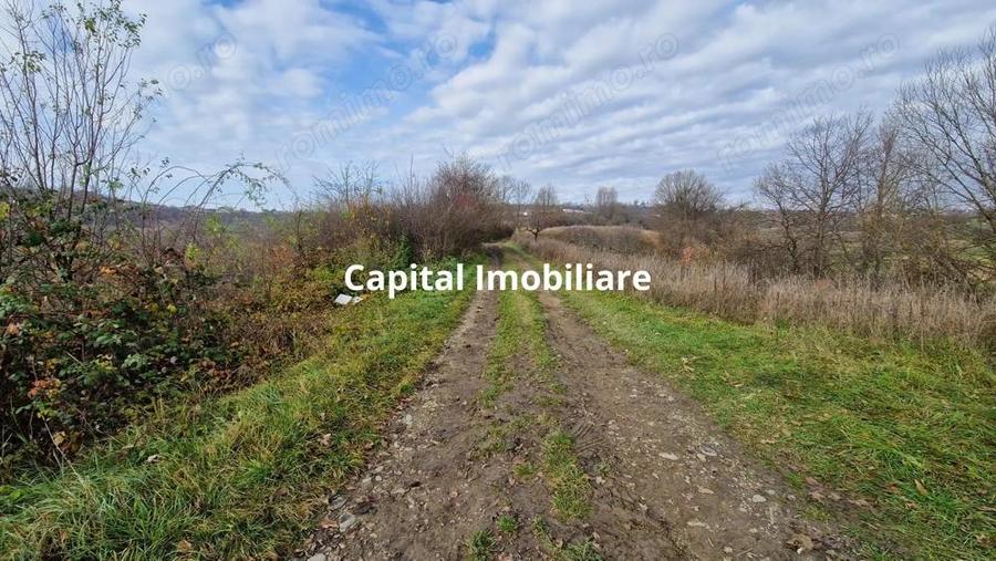 Teren de vanzare in Gro?i, Maramure?, 55 ari - 4