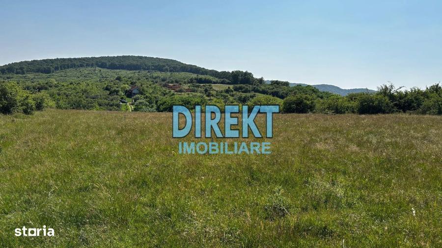 Teren intravilan strada Trifoiului - 5