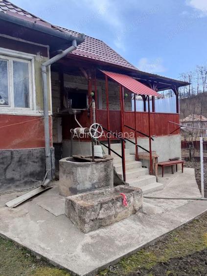 Vand casa cu gradina