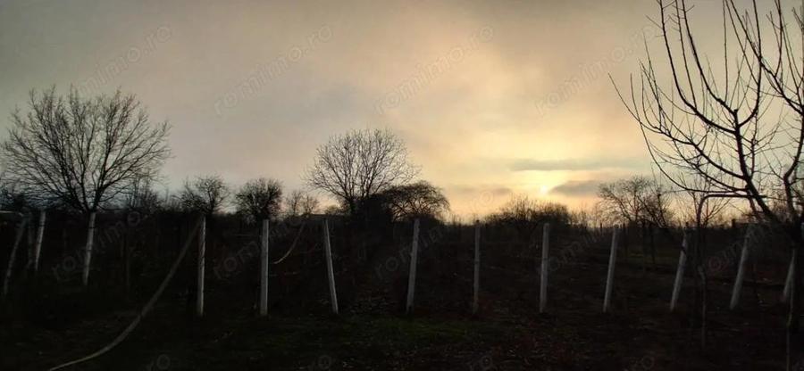 Casa spa?ioasa cu teren generos Valea Calugareasca, sat Pantazi - 7