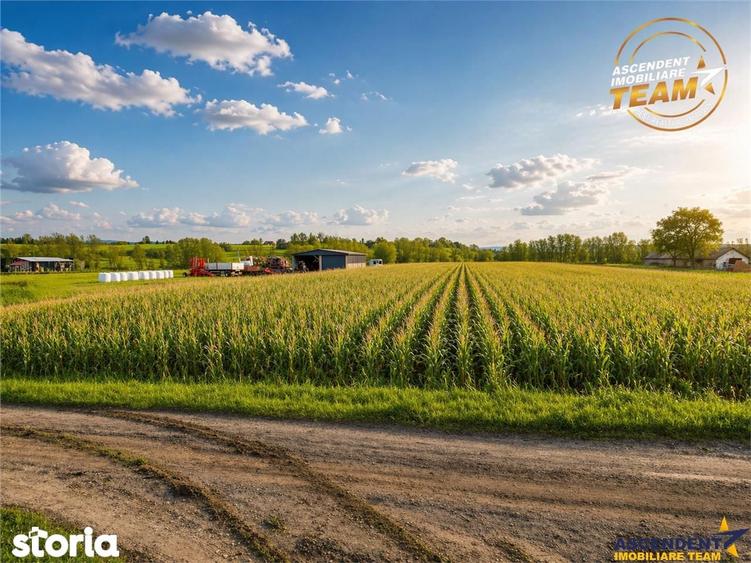 Film! Teren de 5.800 mp, Dobolii de Jos, Covasna - 4