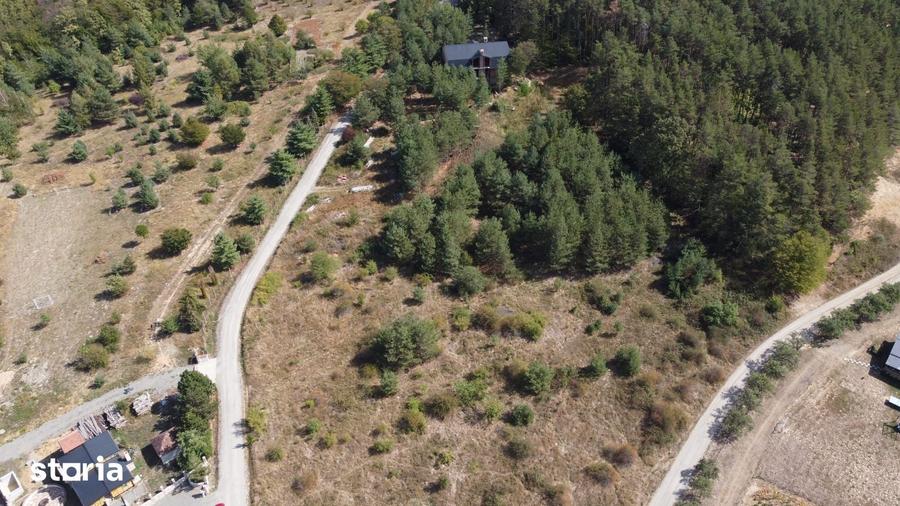 Teren de 5000 mp, în Porolissum