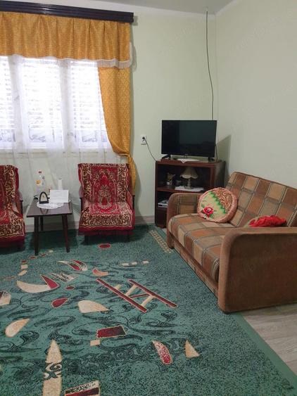 Casa Faget Timis - 2