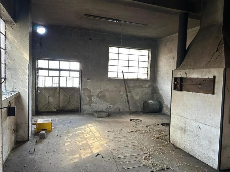 Ideal Afacere 3 Cladiri 2 Fronturi Stradale - 10