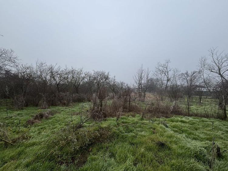 Teren vanzare + constructie / 2499 mp / electricitate+apa - 1