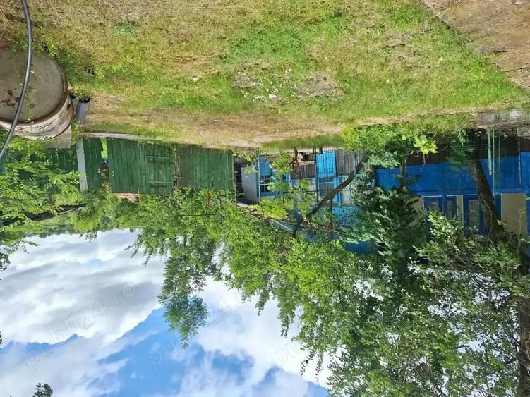 Vand casa plus teren - 8