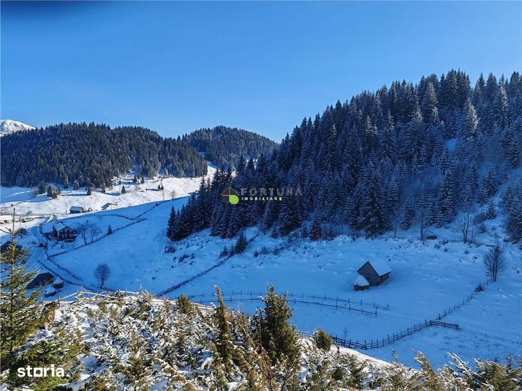 Teren Intravilan Fundata 1937 mp - 2