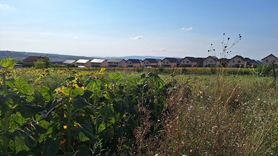 Vand teren intravilan, 5000 mp, Iasi, Rediu, Podisul Beldiman - 6