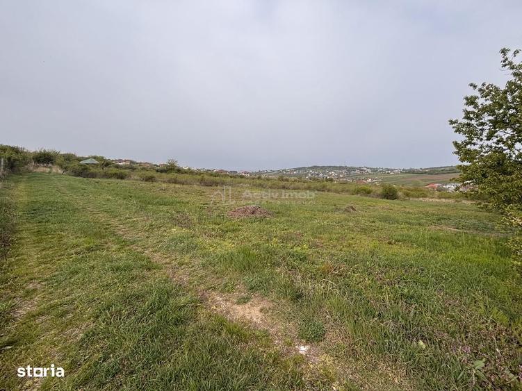 Teren pe colt in Paleu 800 mp ideali pentru casa ta intr-o zona lini - 1