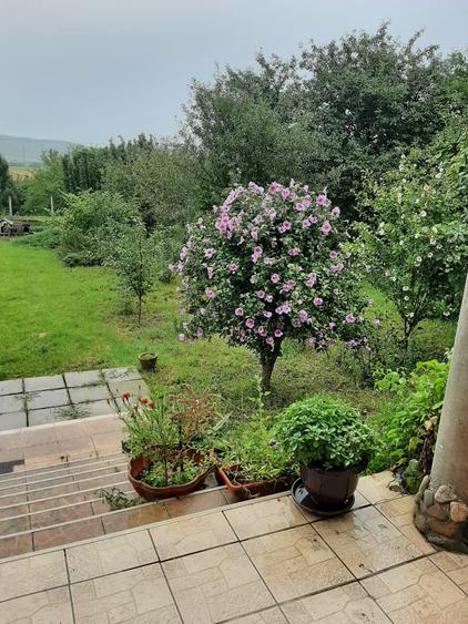 Vand casa din 2004, tren 11500 mp, Cuci, jud. Mures - 5