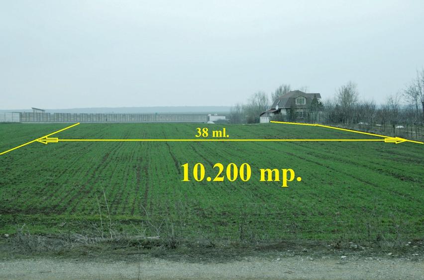 PARTICULAR, 10.200 mp. teren intravilan Moara Vlasiei, langa nodul A3 si Balta - 2