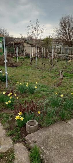 Casa batraneasca 2 corpuri - loc. Mircea Voda, Tulcea - 1