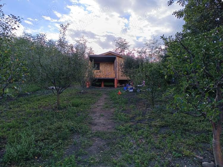 Anun? de vanzare - Casu?a din livada - 5