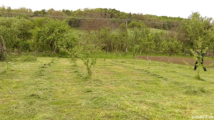 Vand casa mare+65 arii teren intravilan - 5