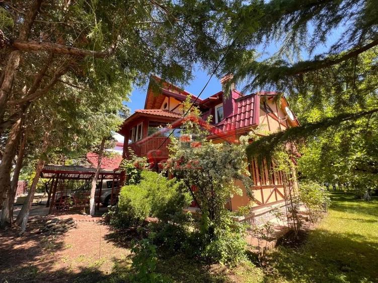 Vila de vanzare Cornu de Jos - 19