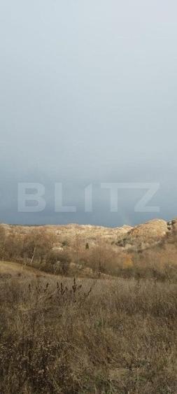 Teren Construcții intravilan de 15000 mp, în Priseaca