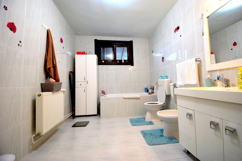 Casă individuală cu 8 camere cu Canalizare în Sânandrei