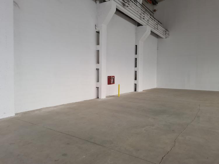 Spațiu industrial, de 50,000 mp, în Aeroport
