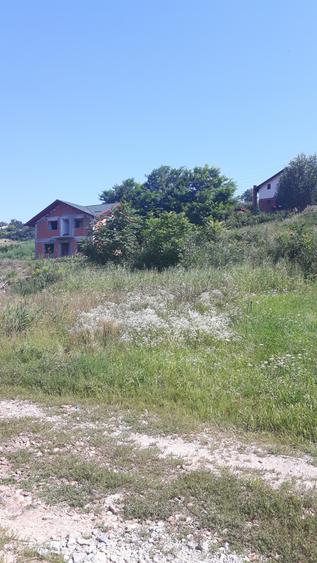 Loc de casa Bucovina - Curtesti - 3