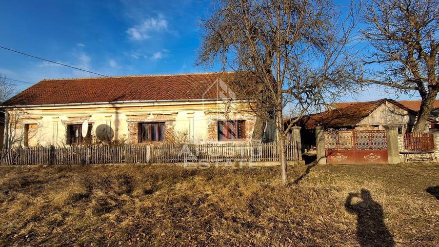 Casa de caramida in Tela si Teren Generos de 4320 mp - 11
