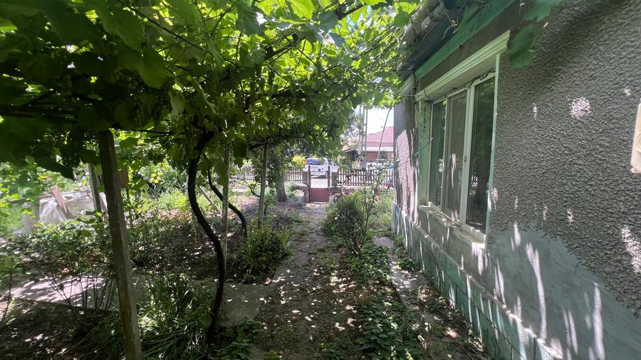 Casă individuală cu 4 camere cu Teren 2921 Mp în Olteni