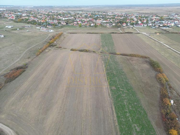 Teren Construcții intravilan de 11600 mp, în Remetea Mare