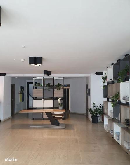 Unirii, sp com 230 mp, ideal show-room, activitati de comert, horeca, - 2