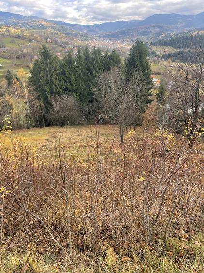 Teren de vanzare in Borsa, str. Valcinet nr.23/b, jud.Maramures - 4