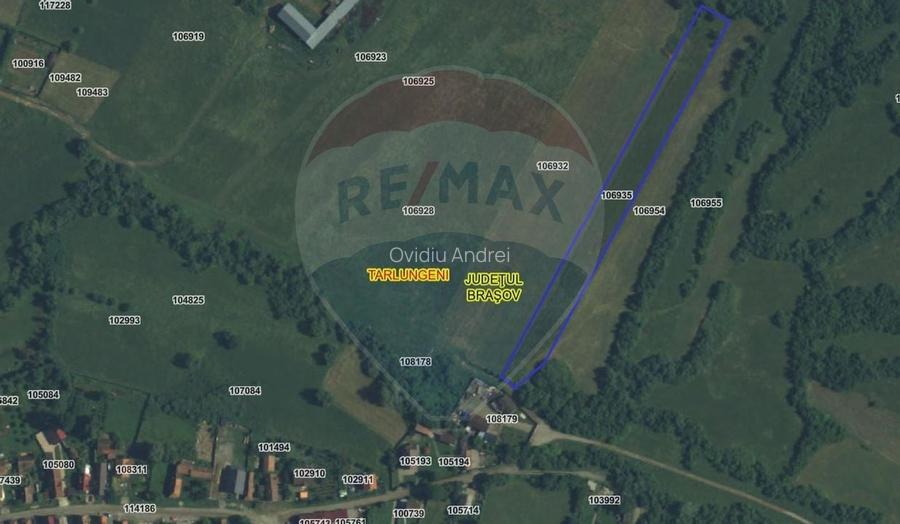 Teren 5.800 mp Purcareni curent, gaz, apa / Strada 30 decembrie
