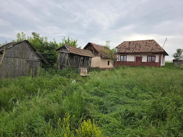 Vand casa Saulia (Groapa Radai), 5000m patrati - 2