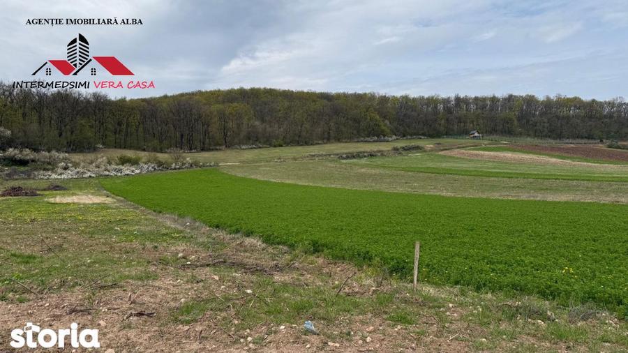 Teren intravilan 833 mp de vanzare in Ampoita Jud Alba - 3